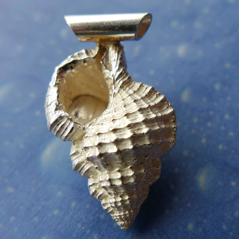 Purpur Tritonshorn medium Anhänger Schnecke