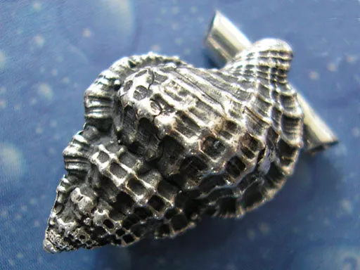 Purpur Tritonshorn medium Anhänger Schnecke
