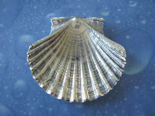 Pilgermuschel large Brosche