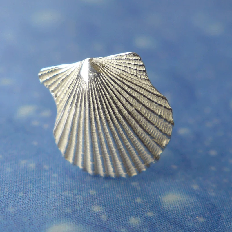 Pilgermuschel Jakobsmuschel Schmuck Ohrstecker xxs