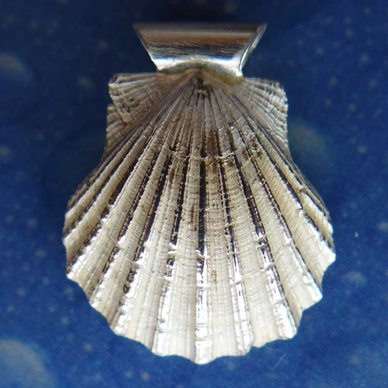 Pilger Schmuck Jakobs Muschel Anhänger neu xs
