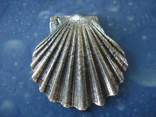 Pilgermuschel xl Brosche