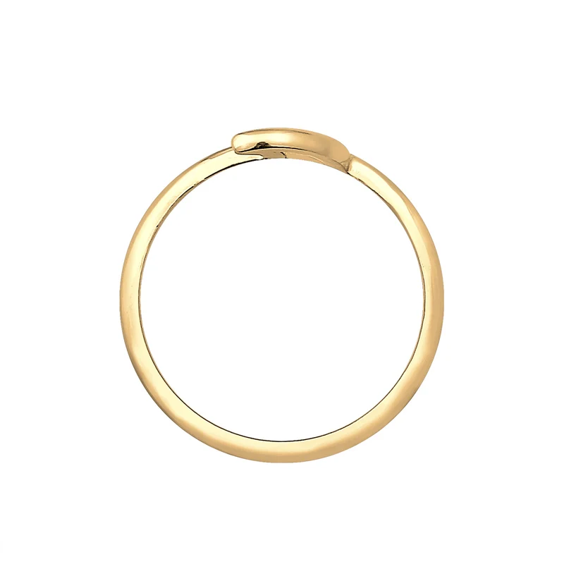 Ring Astro