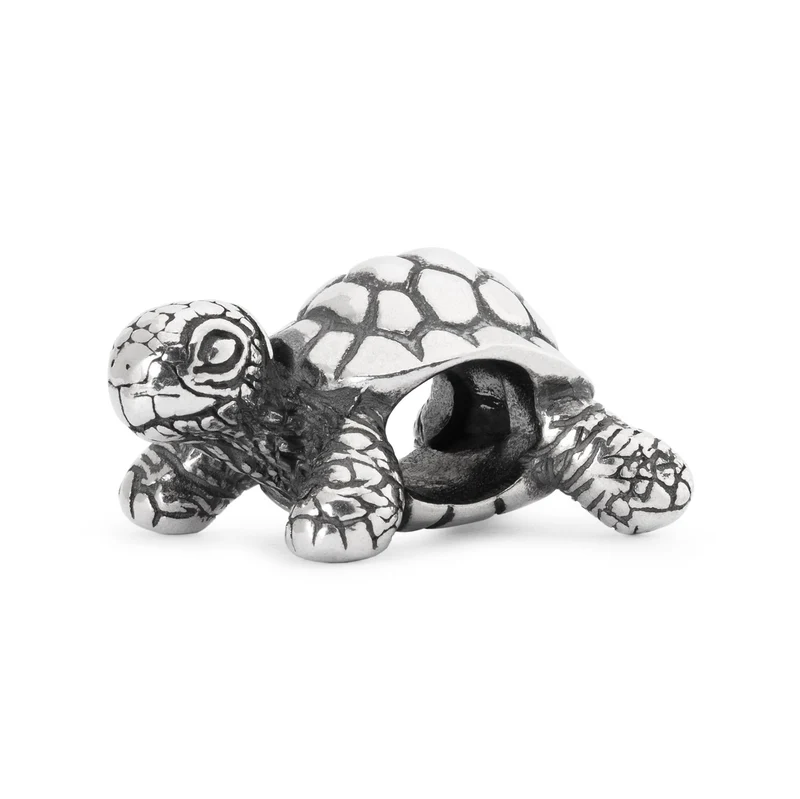 Afrikanische Schildkröte