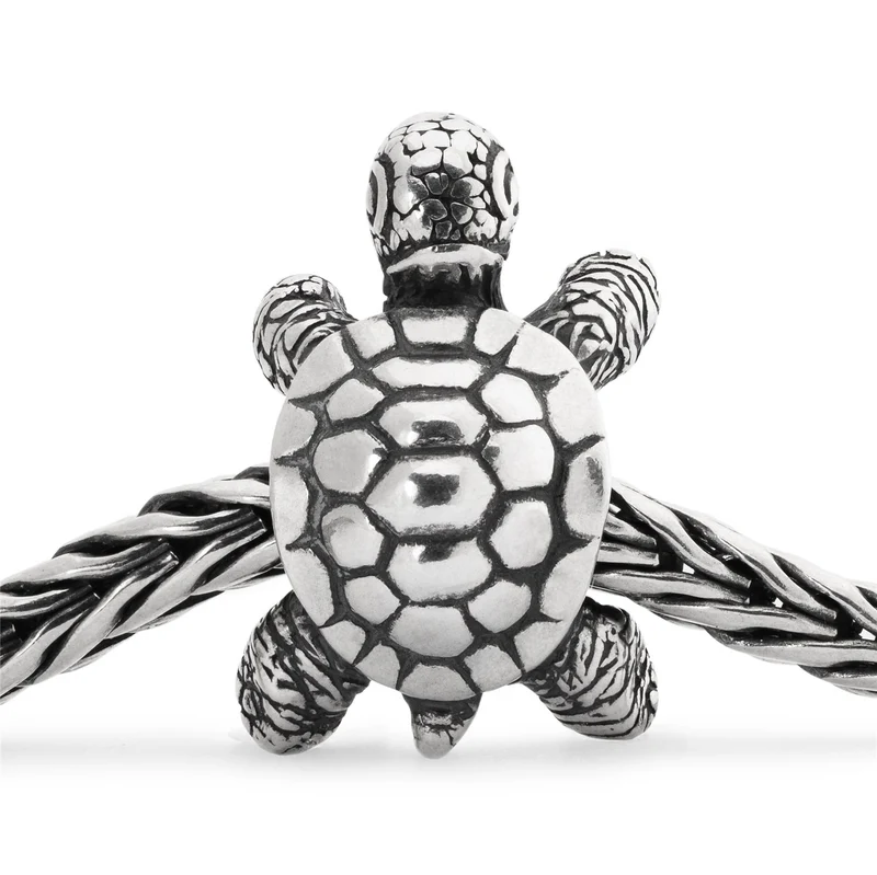 Afrikanische Schildkröte