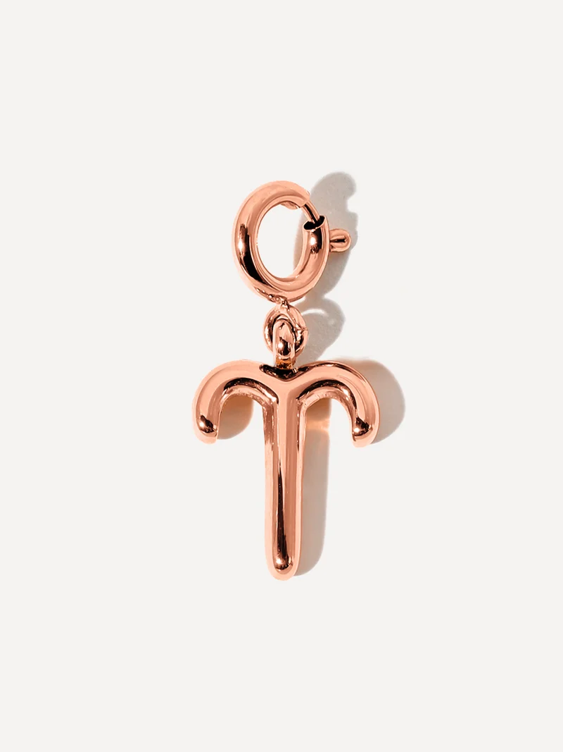 Classic Zodiac Ketten-Charms