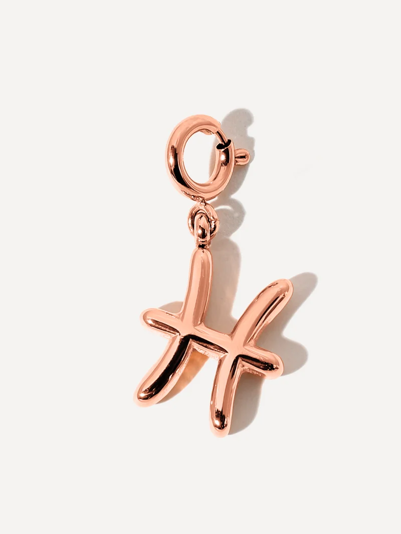 Classic Zodiac Ketten-Charms