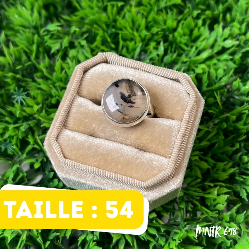 925 Silber Ring Montana Achat #MNTR 698