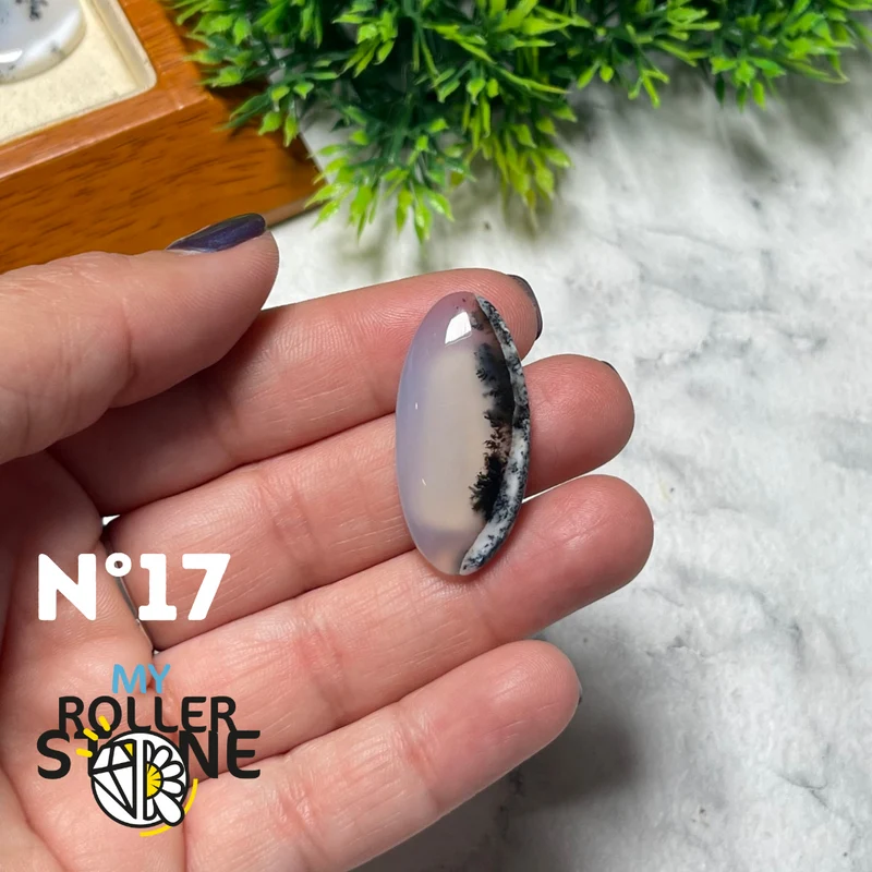 Dendritischer Opal Cabochon