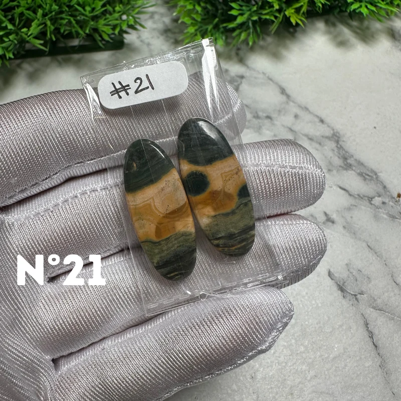 Paar Ozean-Jaspis-Cabochons