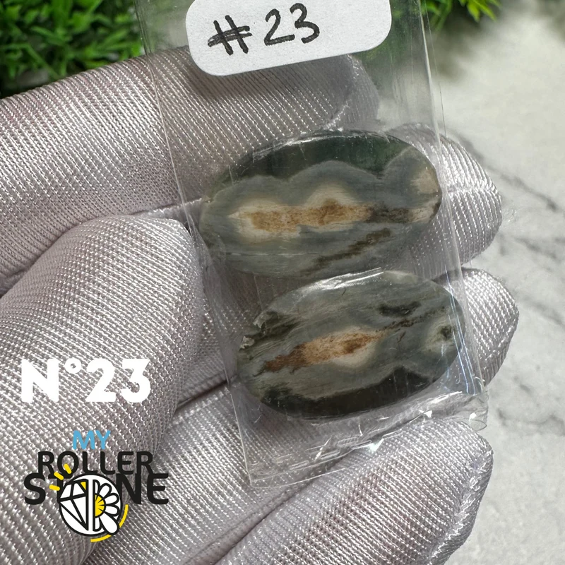 Paar Ozean-Jaspis-Cabochons