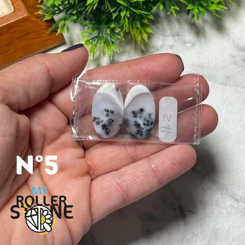 Paar Dendritischer Opal-Cabochons