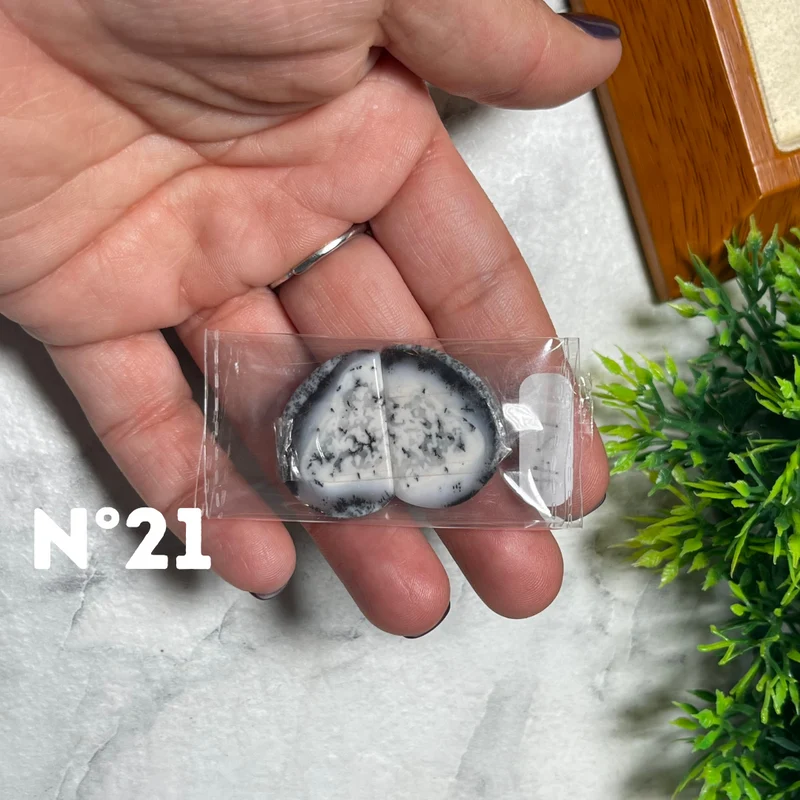 Paar Dendritischer Opal-Cabochons
