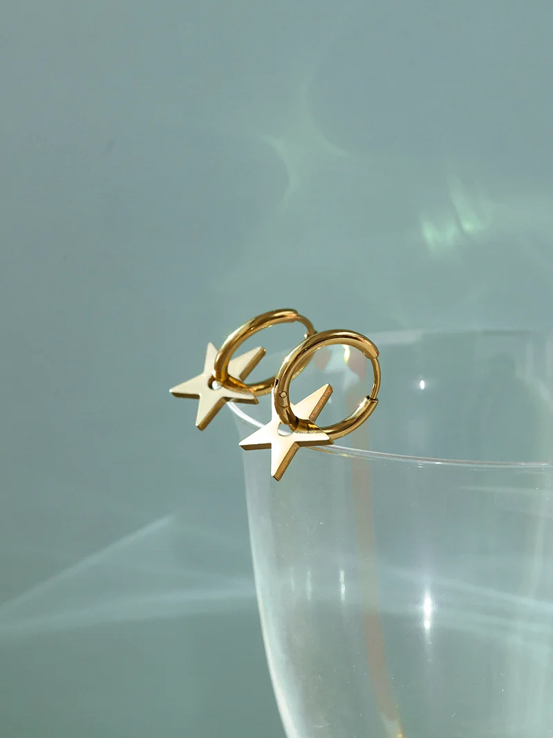 Everyday Star Ohrringe