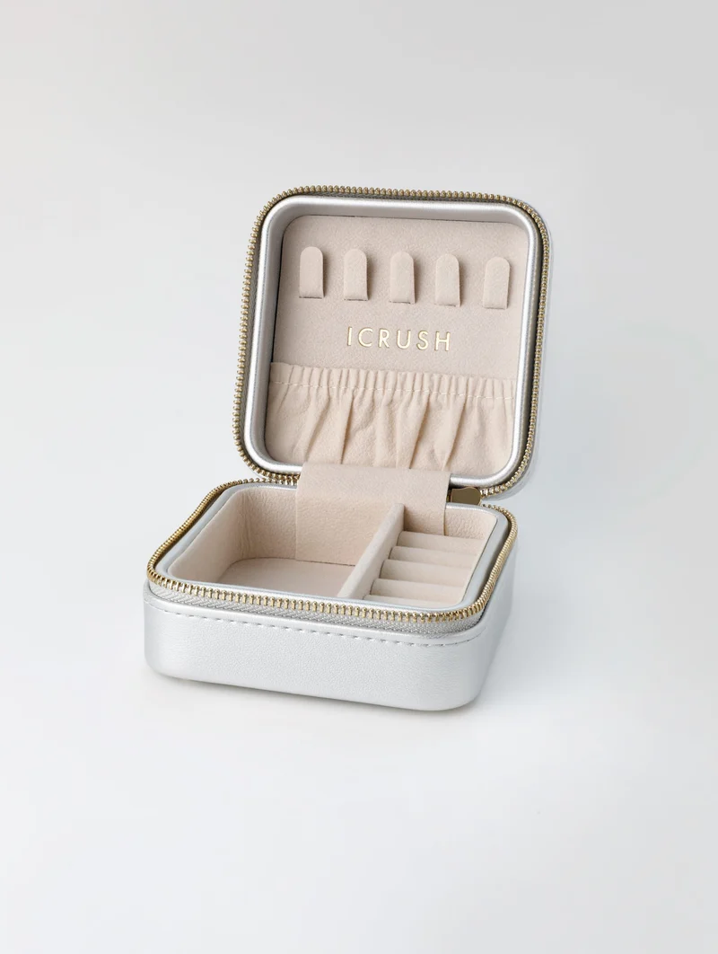 ICRUSH Travel Case Silver