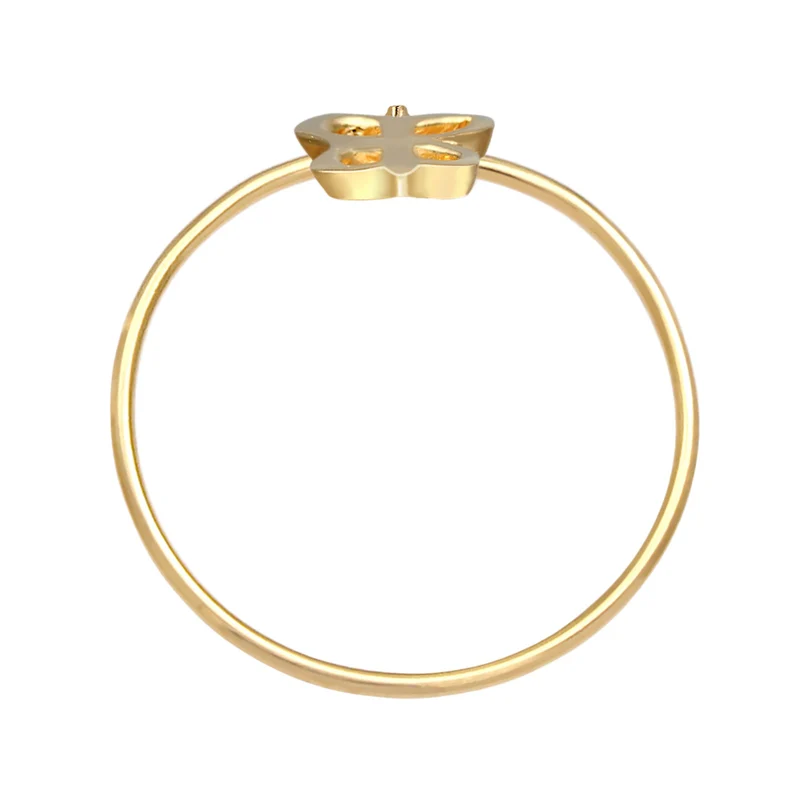 Ring Schmetterling