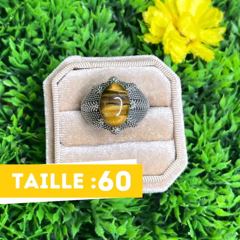 Silberner Siegelring mit Tigerauge-Klaue #4