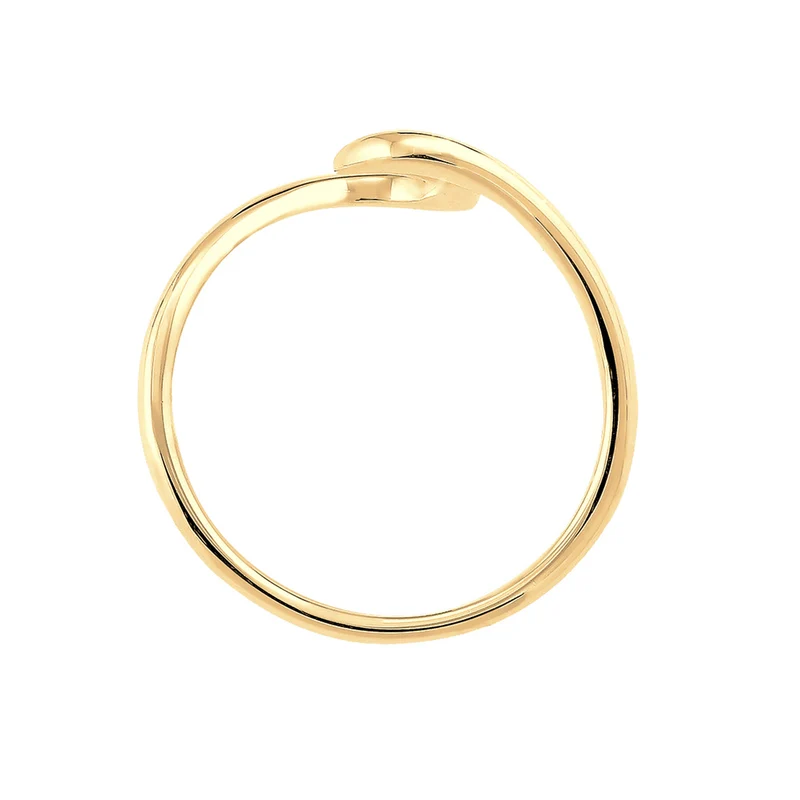 Ring Welle