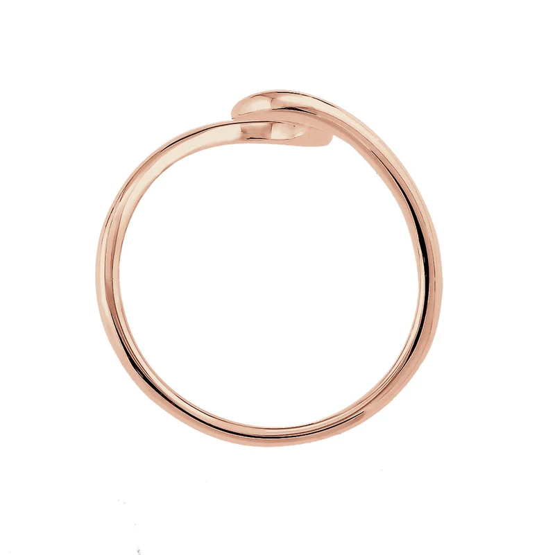 Ring Welle