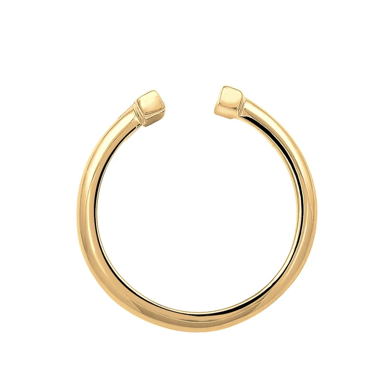Ring Geo offen