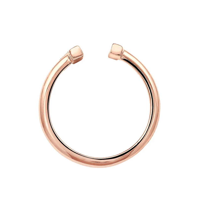 Ring Geo offen