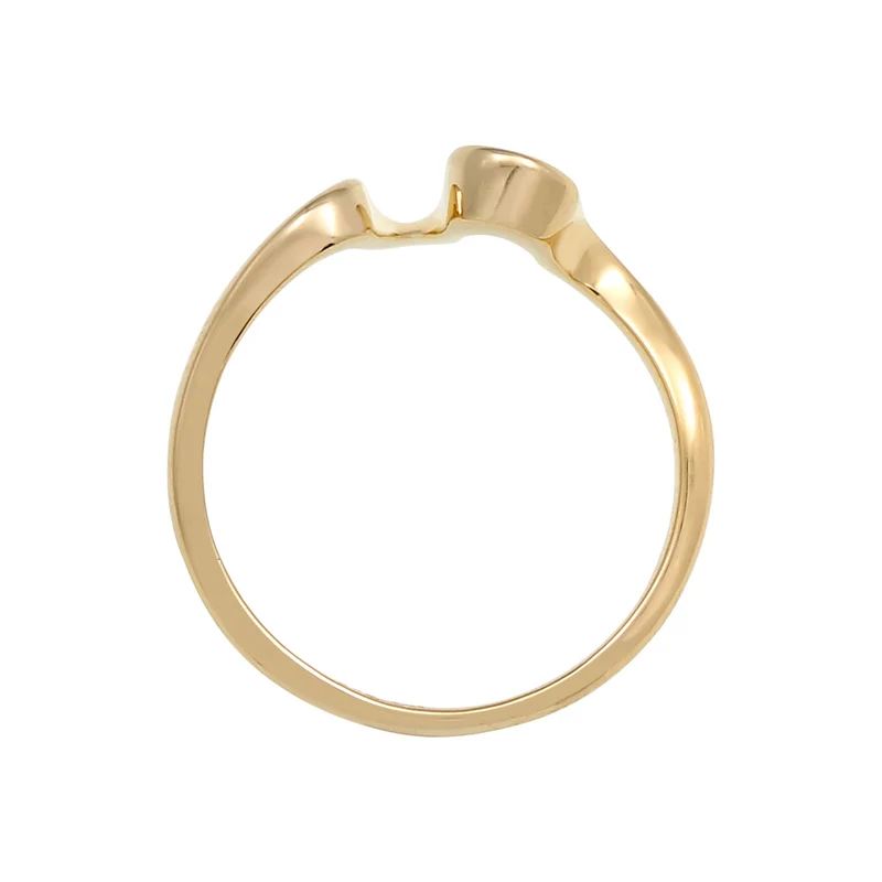Ring Welle