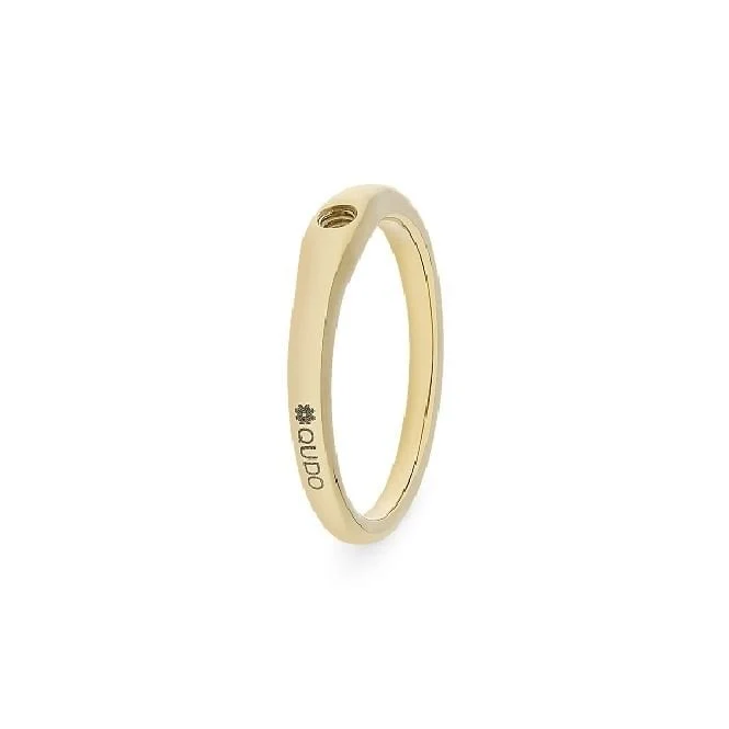 Fine Gold Interchangeable Ring, Size 50