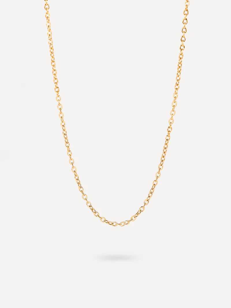 The Basis Kette