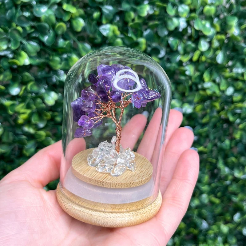 Amethystbaum unter Glocke