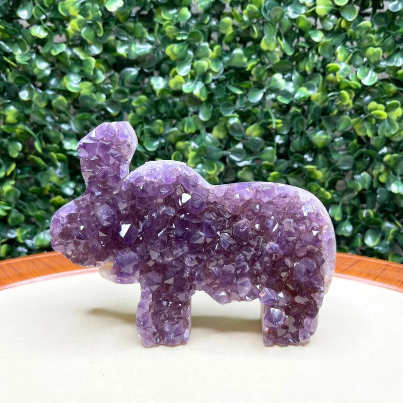 Amethyst-Elefanten-Geode Nr. 2