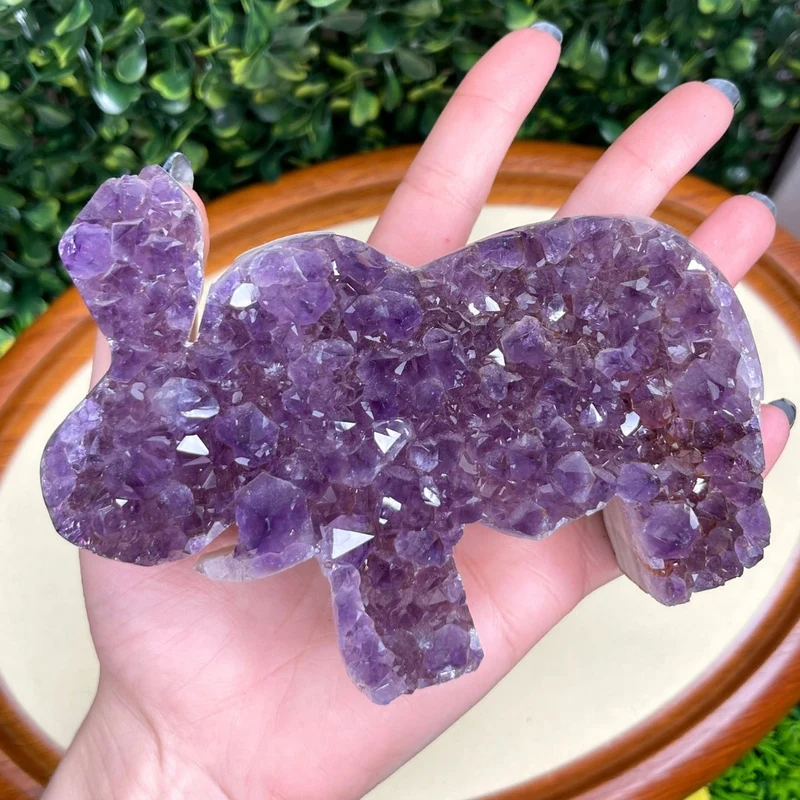 Amethyst-Elefanten-Geode Nr. 2
