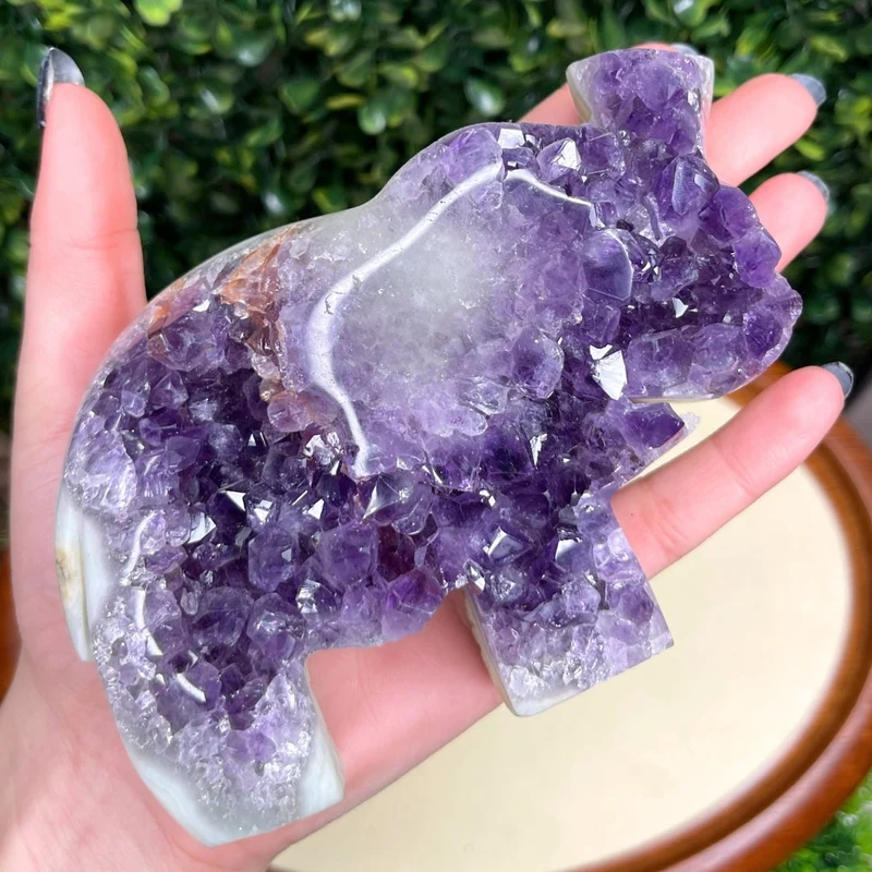 Amethyst-Elefanten-Geode Nr. 7