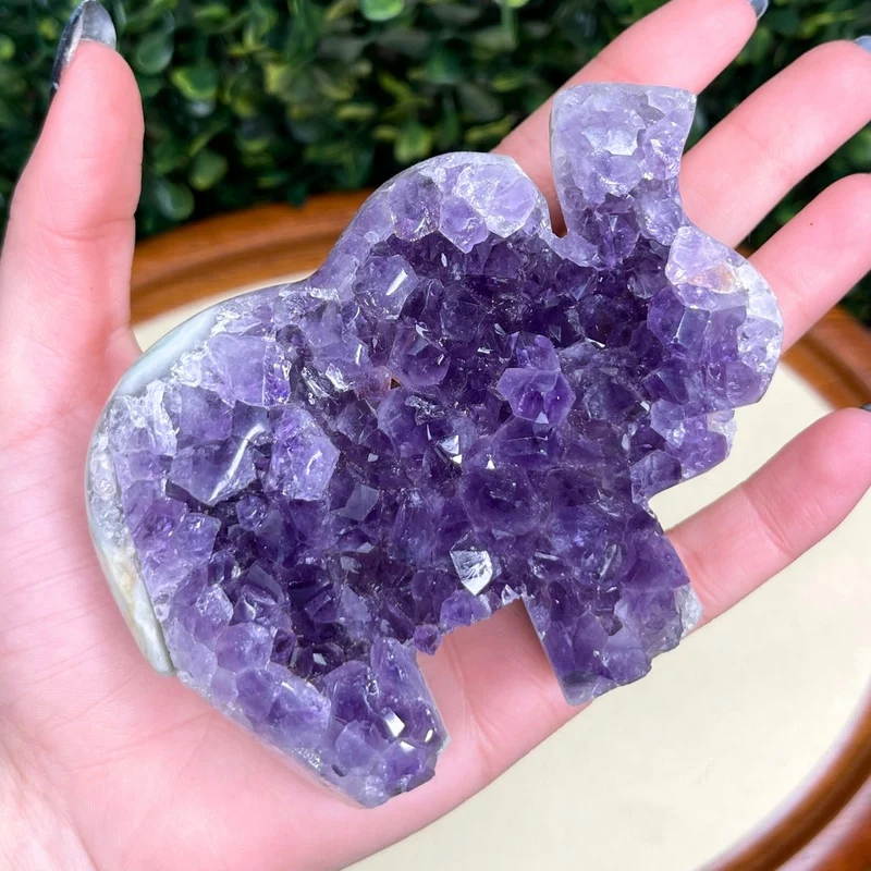 Amethyst-Elefanten-Geode Nr. 9