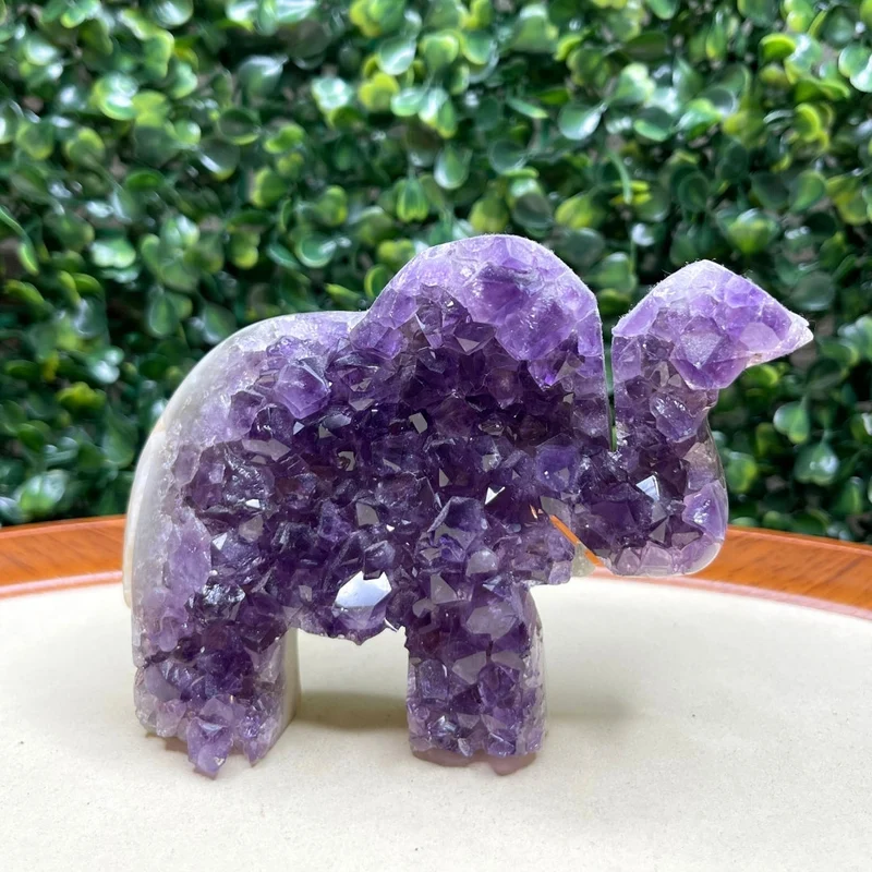 Amethyst-Elefanten-Geode Nr. 6