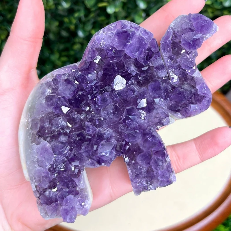 Amethyst-Elefanten-Geode Nr. 6