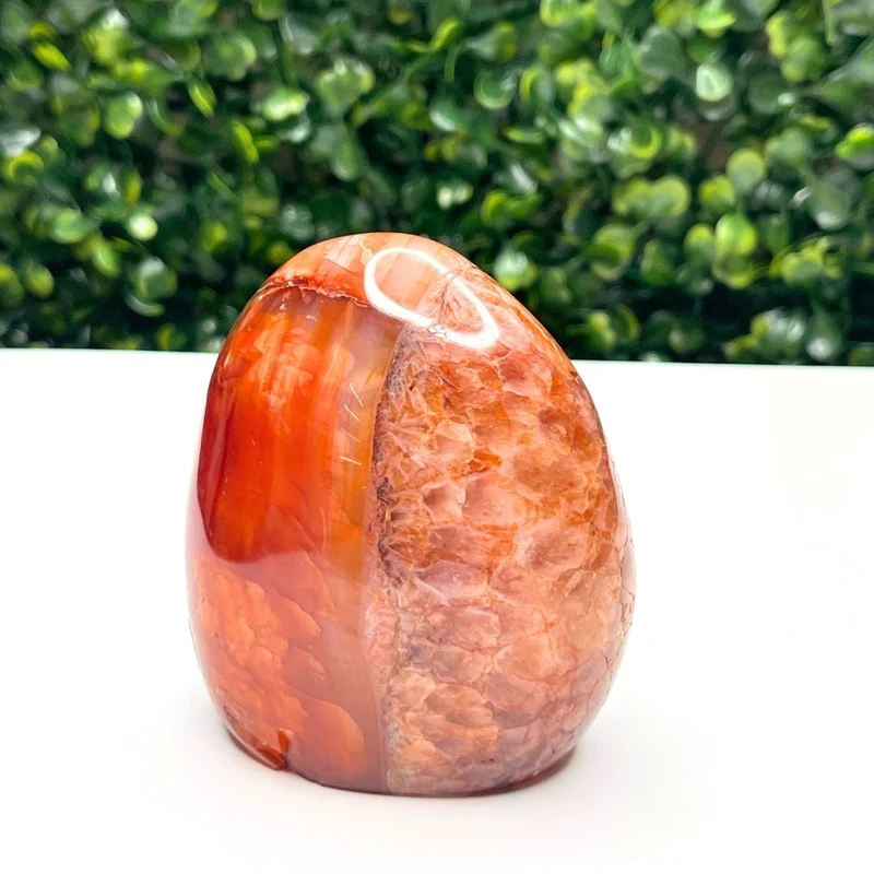 Karneol-Stein in freier Form