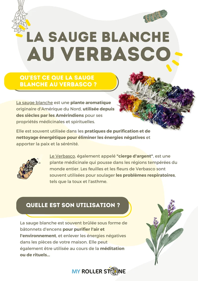 Weißer Salbei mit Verbasco
