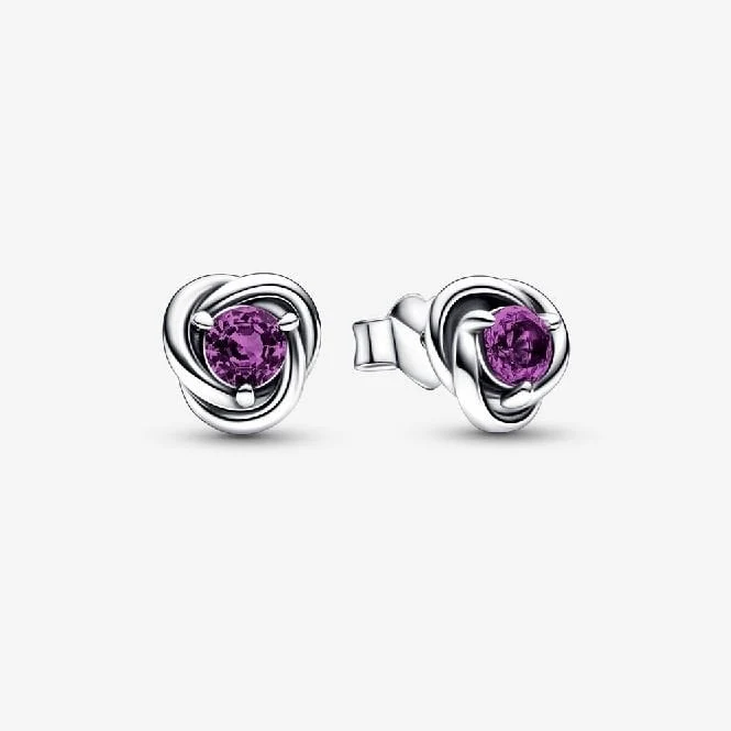 February Birthstone Eternity Circle Stud Earrings