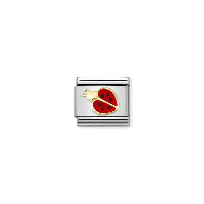 Classic Gold New Red and Black Ladybird Animals Charms