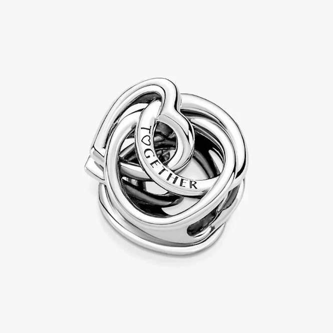 Family Always Encircled Heart Charms