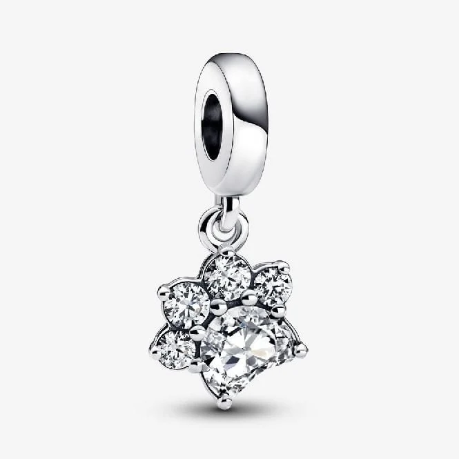 Sparkling Pet Paw Print Dangle Charms