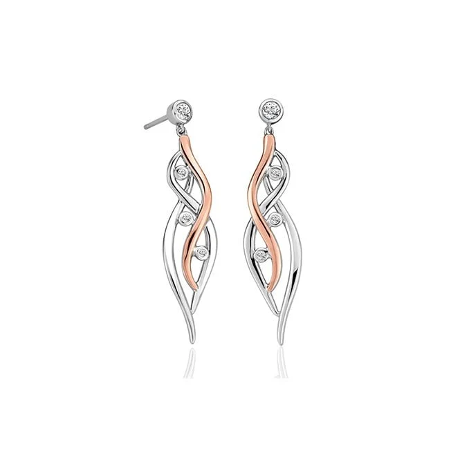 Swallow Falls Silver Drop Earrings