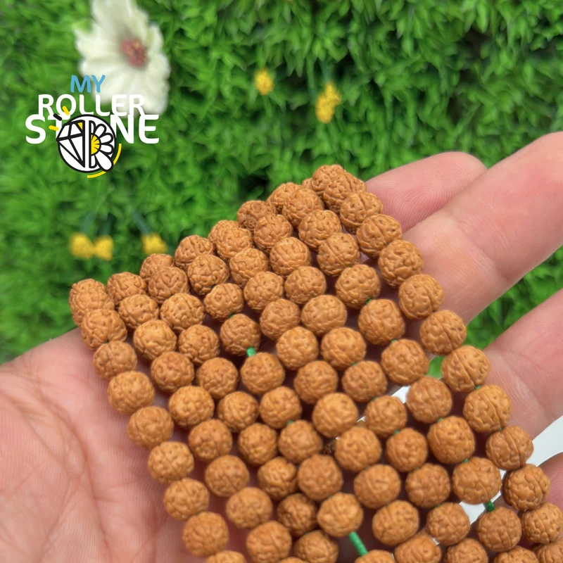 Rudraksha-Samen