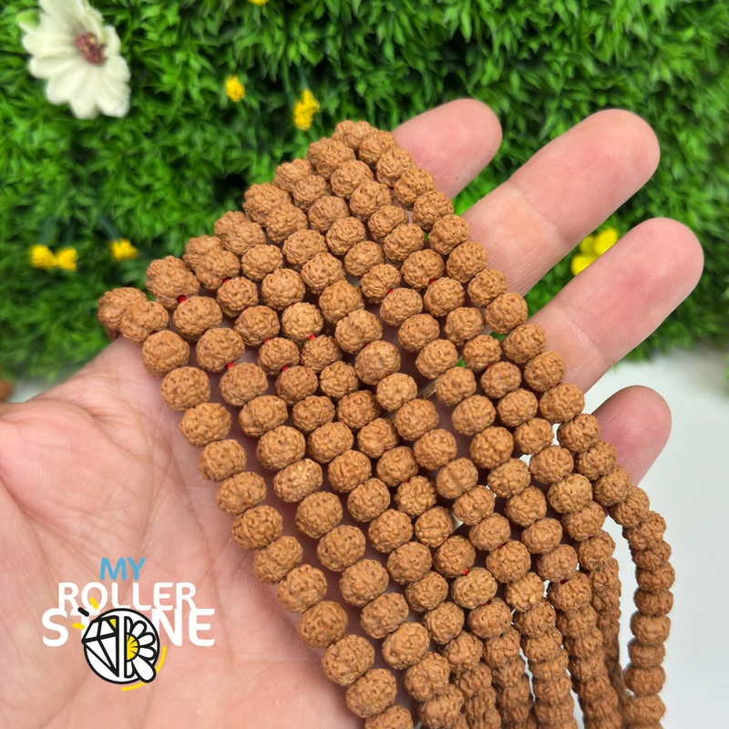 Rudraksha-Samen