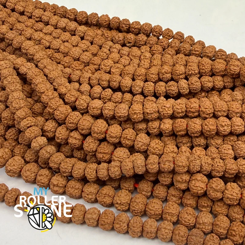 Rudraksha-Samen