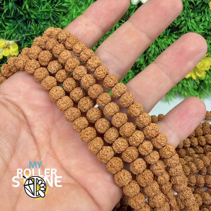 Rudraksha-Samen